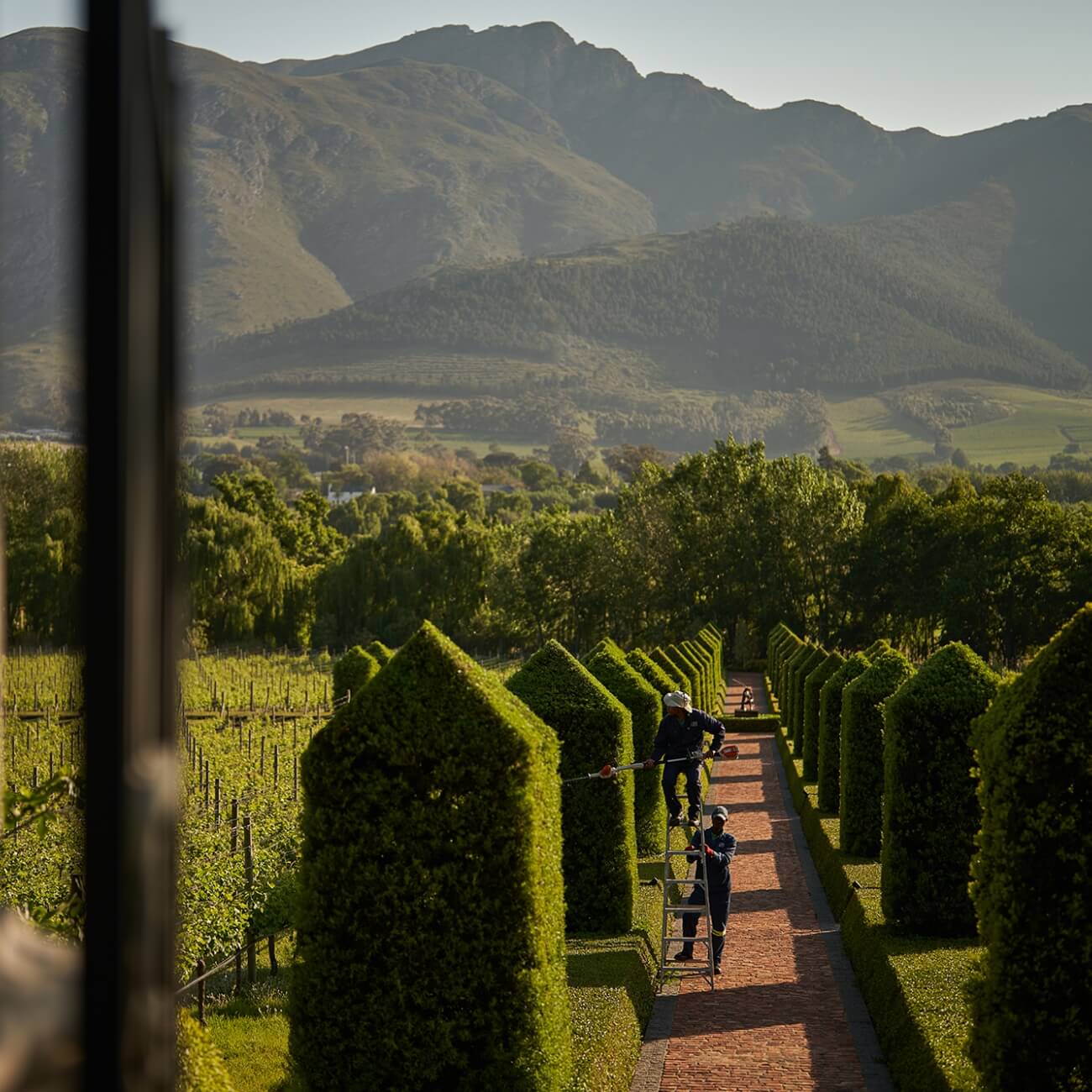 67bc549b1dd6c-Leeu Estates - Landscape  (2)@2x